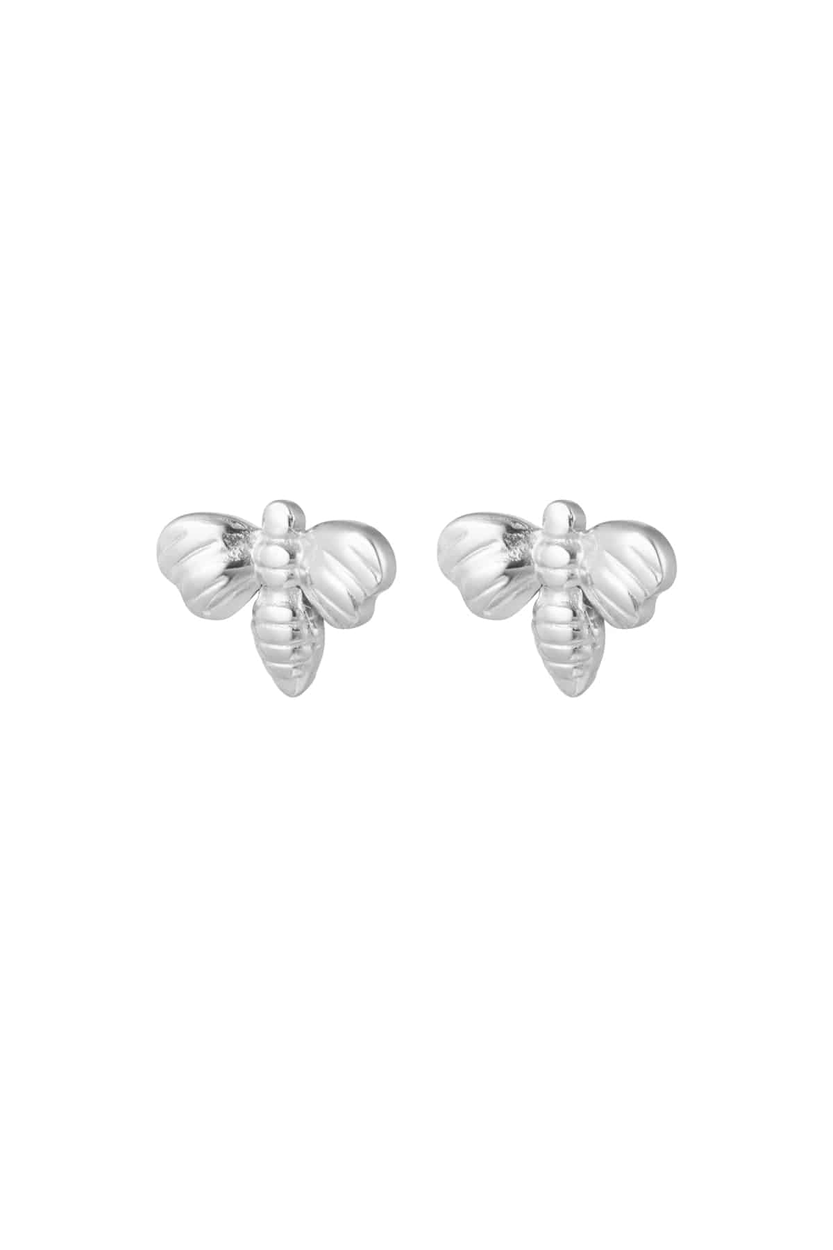 Earring bij silver